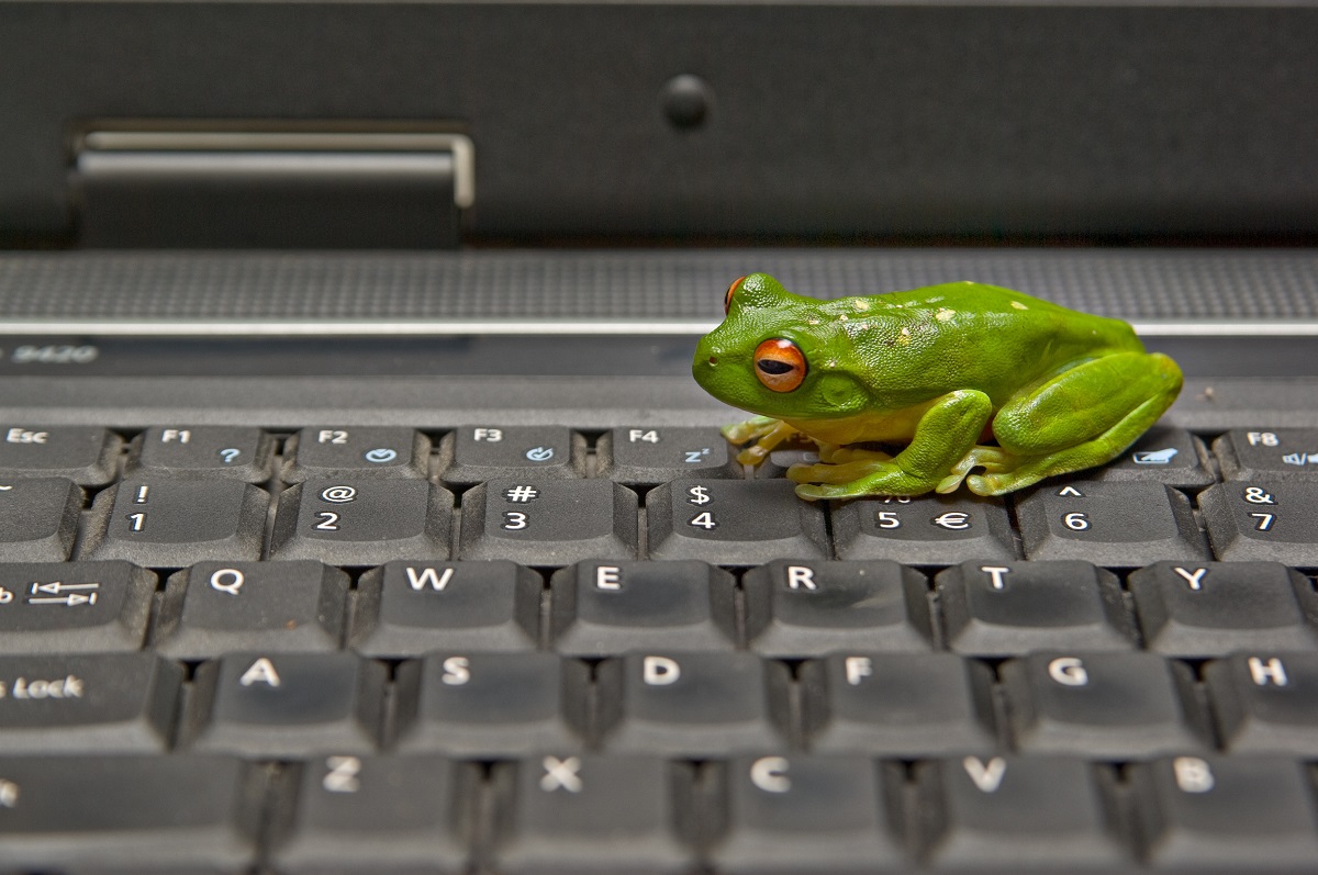 Leap Frog web design