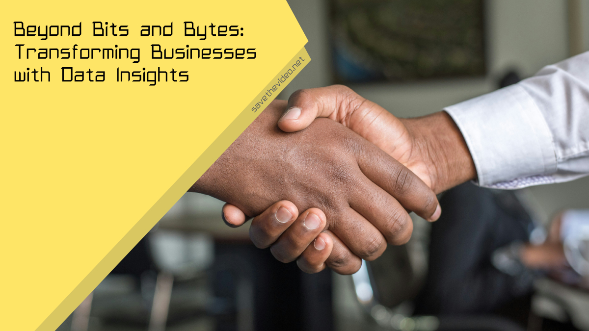 Beyond Bits and Bytes: Transforming Businesses with Data Insights