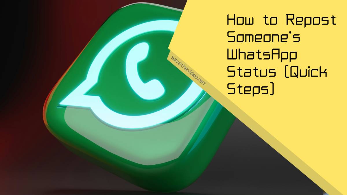 How to Repost Someone’s WhatsApp Status (Quick Steps)